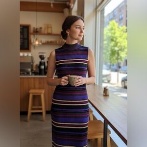 Dolan Multicolor Striped Midi Dress